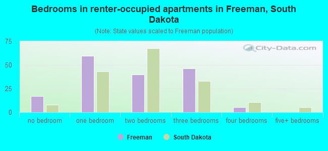 Bedrooms in renter-occupied apartments in Freeman, South Dakota