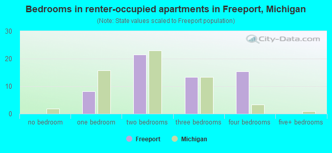 Bedrooms in renter-occupied apartments in Freeport, Michigan