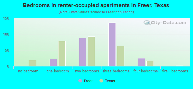 Bedrooms in renter-occupied apartments in Freer, Texas