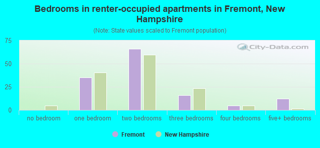 Bedrooms in renter-occupied apartments in Fremont, New Hampshire