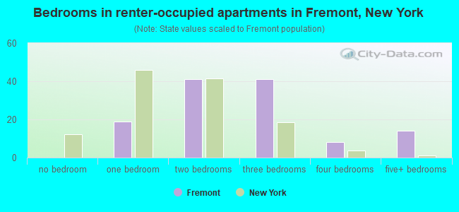 Bedrooms in renter-occupied apartments in Fremont, New York