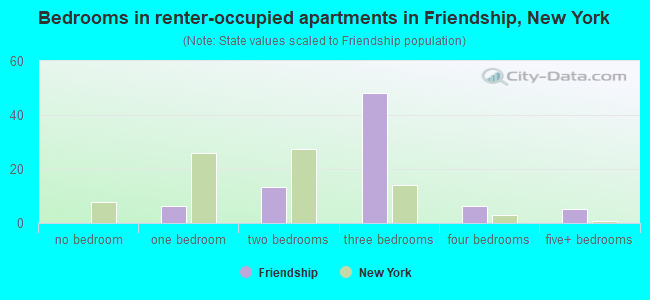 Bedrooms in renter-occupied apartments in Friendship, New York