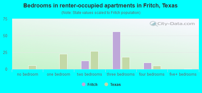 Bedrooms in renter-occupied apartments in Fritch, Texas
