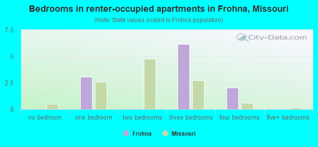 Bedrooms in renter-occupied apartments in Frohna, Missouri