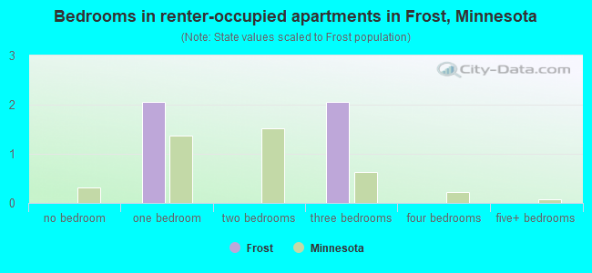 Bedrooms in renter-occupied apartments in Frost, Minnesota