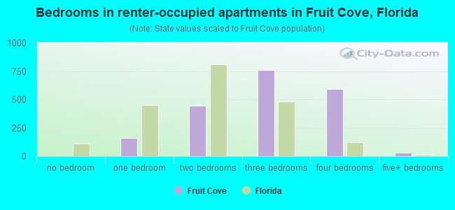 Bedrooms in renter-occupied apartments in Fruit Cove, Florida