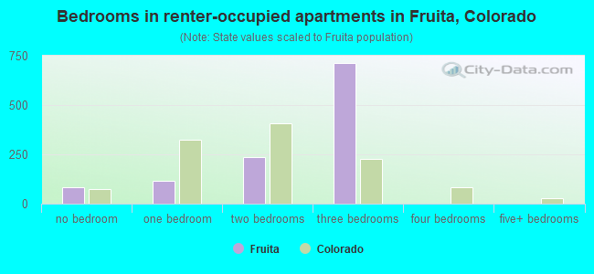Bedrooms in renter-occupied apartments in Fruita, Colorado