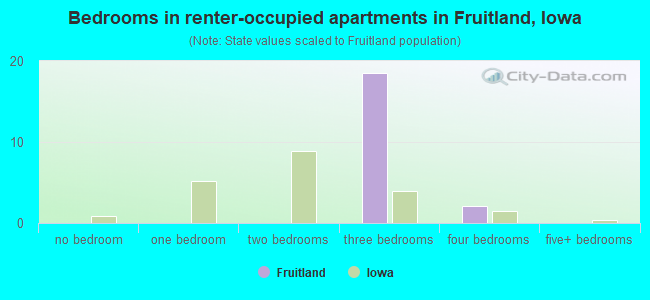 Bedrooms in renter-occupied apartments in Fruitland, Iowa