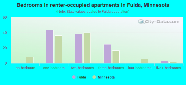 Bedrooms in renter-occupied apartments in Fulda, Minnesota