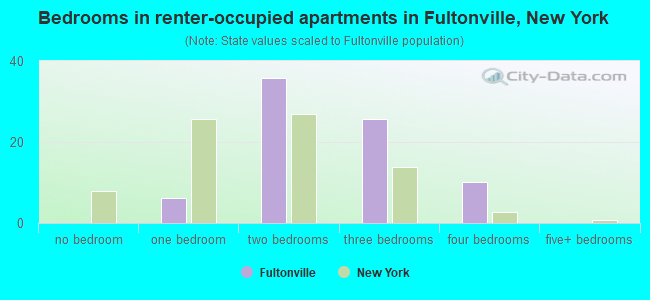 Bedrooms in renter-occupied apartments in Fultonville, New York