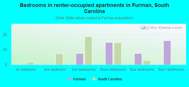 Bedrooms in renter-occupied apartments in Furman, South Carolina