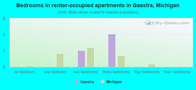 Bedrooms in renter-occupied apartments in Gaastra, Michigan