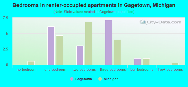 Bedrooms in renter-occupied apartments in Gagetown, Michigan