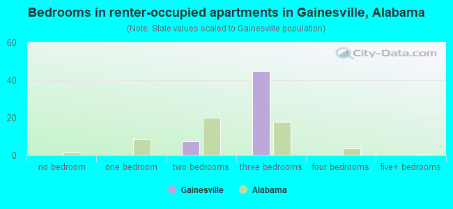 Bedrooms in renter-occupied apartments in Gainesville, Alabama