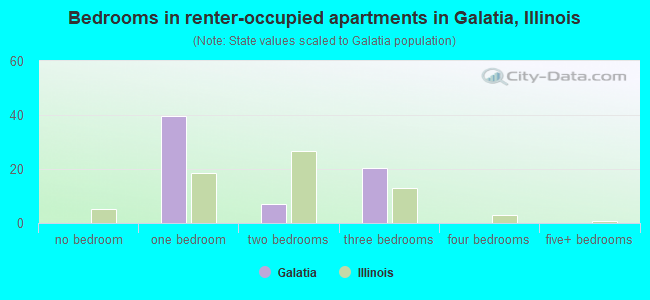 Bedrooms in renter-occupied apartments in Galatia, Illinois