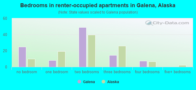 Bedrooms in renter-occupied apartments in Galena, Alaska