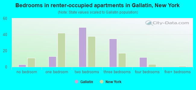 Bedrooms in renter-occupied apartments in Gallatin, New York