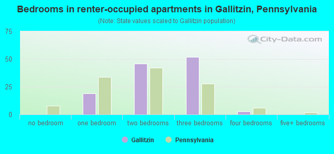 Bedrooms in renter-occupied apartments in Gallitzin, Pennsylvania