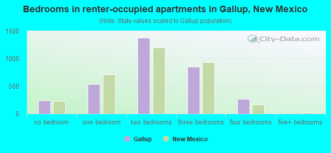 Bedrooms in renter-occupied apartments in Gallup, New Mexico