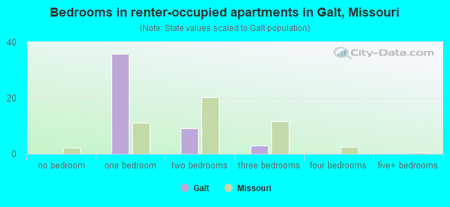 Bedrooms in renter-occupied apartments in Galt, Missouri