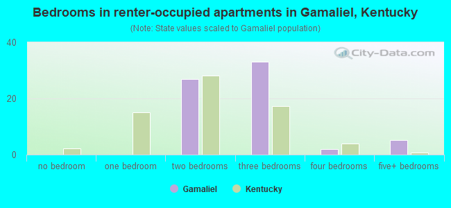 Bedrooms in renter-occupied apartments in Gamaliel, Kentucky