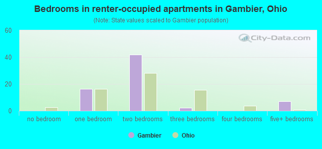 Bedrooms in renter-occupied apartments in Gambier, Ohio