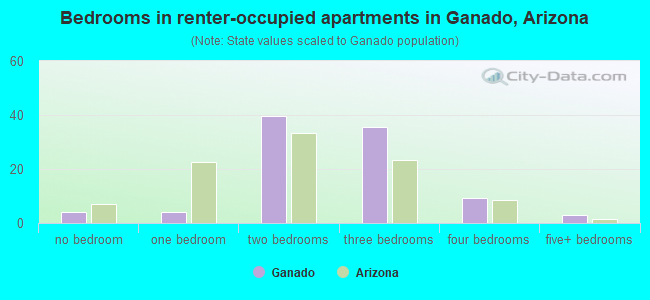 Bedrooms in renter-occupied apartments in Ganado, Arizona