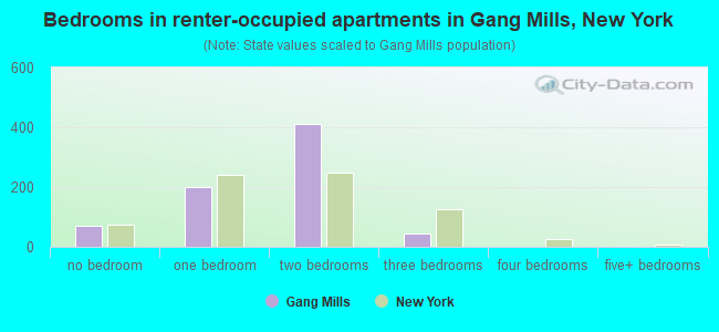 Bedrooms in renter-occupied apartments in Gang Mills, New York