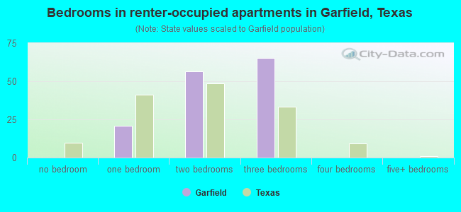 Bedrooms in renter-occupied apartments in Garfield, Texas