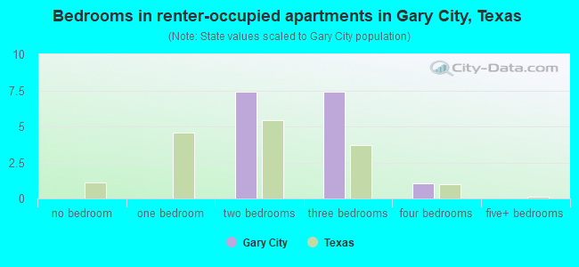 Bedrooms in renter-occupied apartments in Gary City, Texas