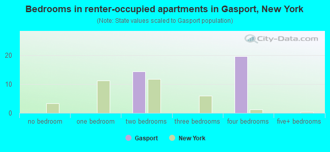 Bedrooms in renter-occupied apartments in Gasport, New York