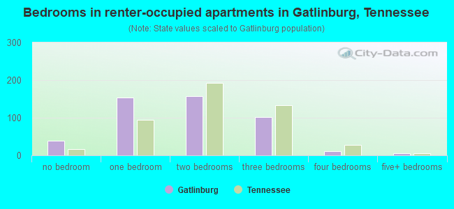 Bedrooms in renter-occupied apartments in Gatlinburg, Tennessee