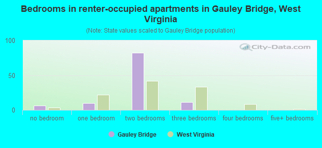 Bedrooms in renter-occupied apartments in Gauley Bridge, West Virginia