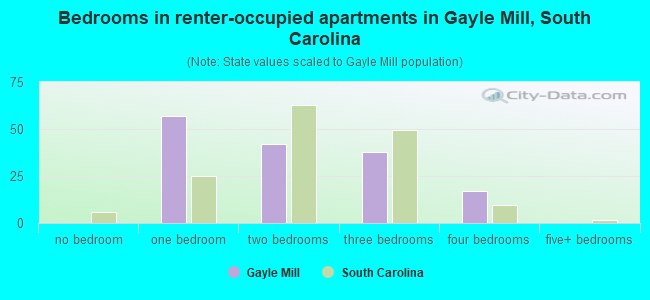 Bedrooms in renter-occupied apartments in Gayle Mill, South Carolina