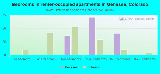 Bedrooms in renter-occupied apartments in Genesee, Colorado