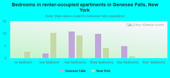 Bedrooms in renter-occupied apartments in Genesee Falls, New York