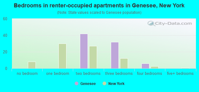 Bedrooms in renter-occupied apartments in Genesee, New York