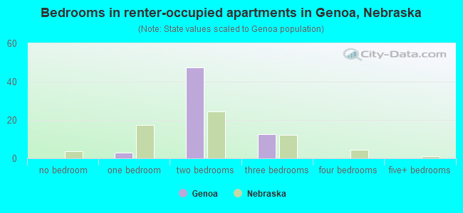 Bedrooms in renter-occupied apartments in Genoa, Nebraska