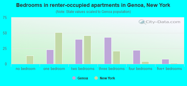 Bedrooms in renter-occupied apartments in Genoa, New York