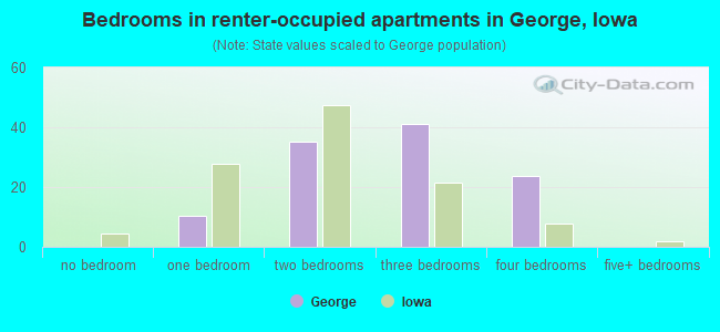 Bedrooms in renter-occupied apartments in George, Iowa