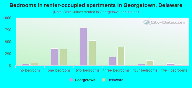 Bedrooms in renter-occupied apartments in Georgetown, Delaware