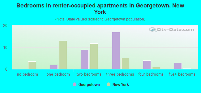 Bedrooms in renter-occupied apartments in Georgetown, New York