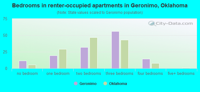 Bedrooms in renter-occupied apartments in Geronimo, Oklahoma
