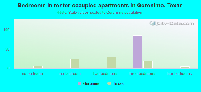 Bedrooms in renter-occupied apartments in Geronimo, Texas