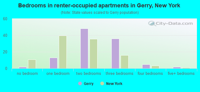 Bedrooms in renter-occupied apartments in Gerry, New York