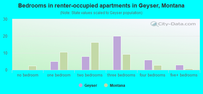Bedrooms in renter-occupied apartments in Geyser, Montana