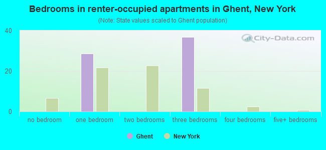 Bedrooms in renter-occupied apartments in Ghent, New York