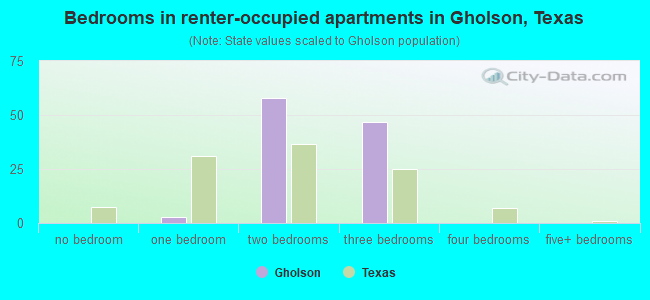 Bedrooms in renter-occupied apartments in Gholson, Texas