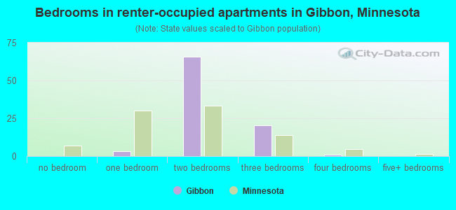 Bedrooms in renter-occupied apartments in Gibbon, Minnesota