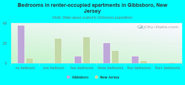 Bedrooms in renter-occupied apartments in Gibbsboro, New Jersey